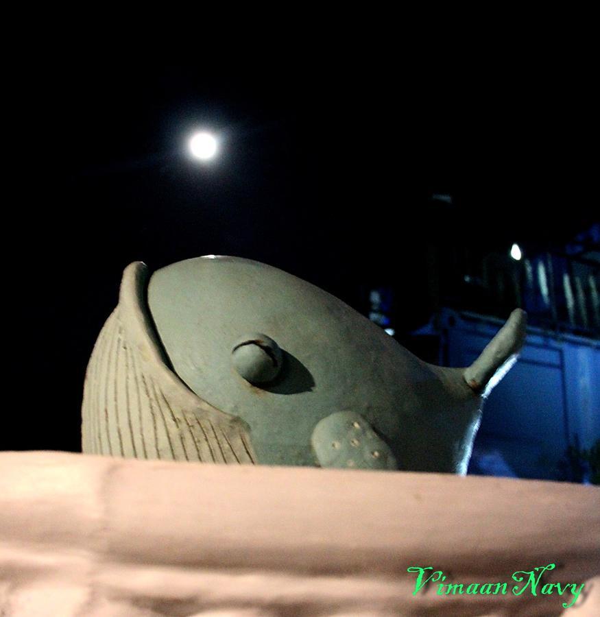 Vimaannavy Resort Ban Chang  Esterno foto